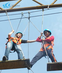 山美特体验式拓展训练 打造卓越团队的专业力量